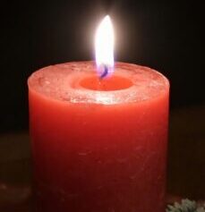 Pfarrnachrichten 30.11. – 07.12.