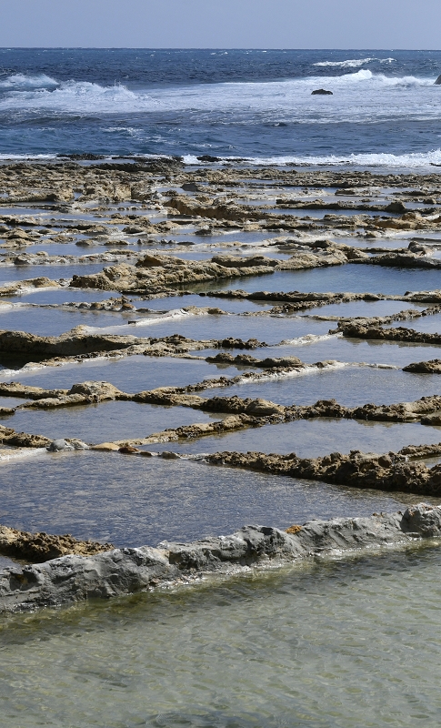 Pfarrnachrichten 08.02. – 15.02.