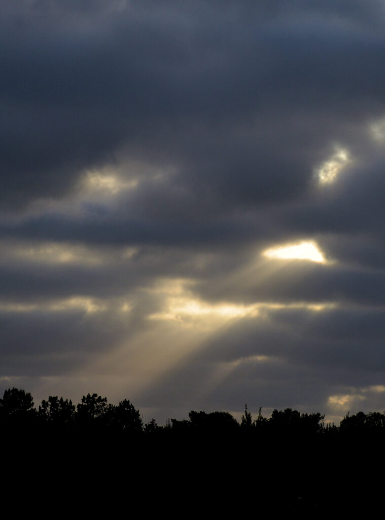 Pfarrnachrichten 01.03. – 08.03.